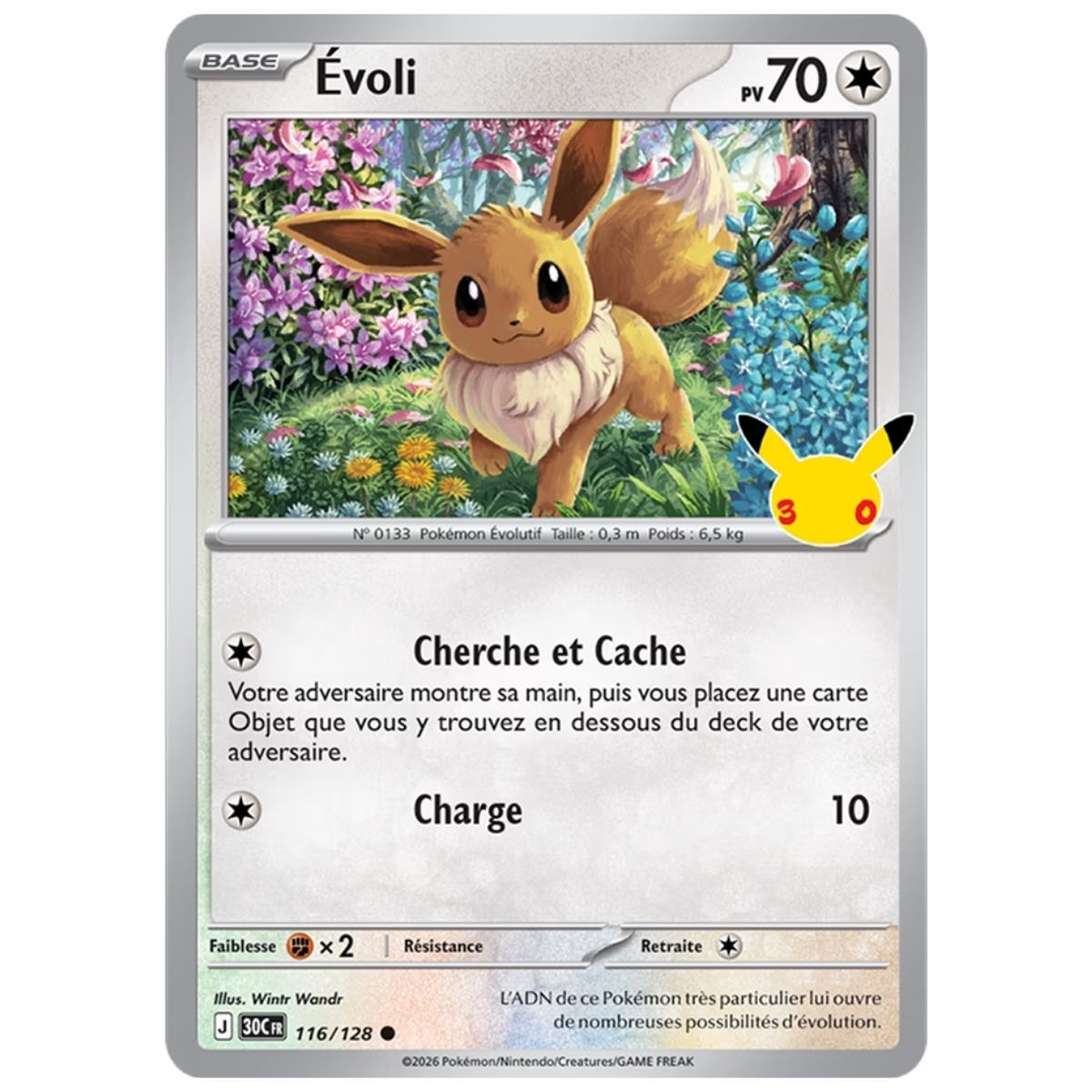 Blister 2 Boosters Evoli - vue 3
